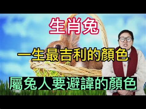 兔幸運色|屬兔的今年適合什麼顏色？開運色讓你財運亨通！ 